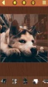 Dog Puzzles游戲截圖5