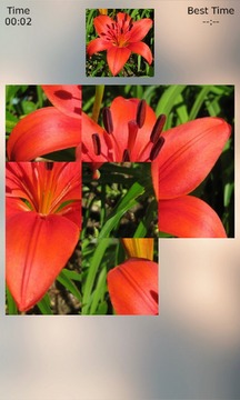 Lily Puzzle游戲截圖2