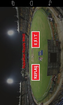 IPL-Wheel Cricket游戲截圖5