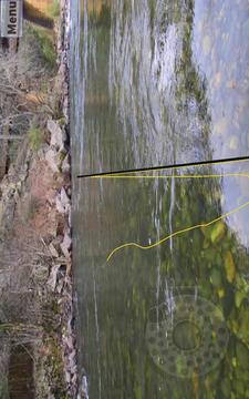 Fly Fishing Simulator游戲截圖1