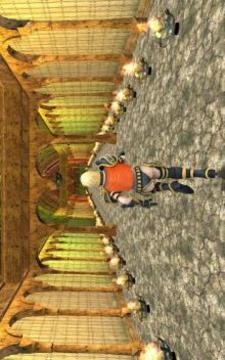 Temple Gold Rush 2游戲截圖5
