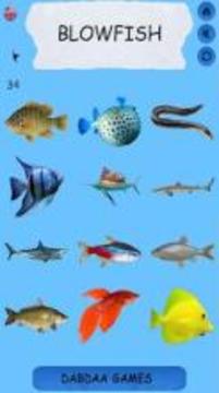 Learning Name Of Fishes - practice, test, sound游戏截图2