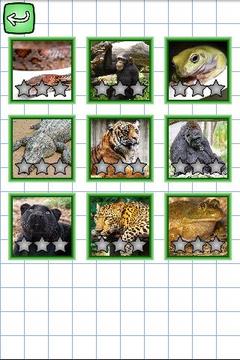 Puzzles in English: Animals游戲截圖2