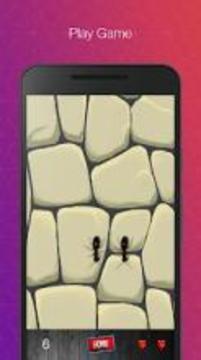Insects Smasher - Tap to crush Insects游戲截圖3