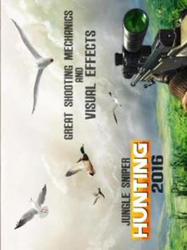 Jungle Sniper Hunting 3D 2016游戲截圖3