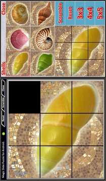 Magic Slide Puzzle Shells游戲截圖2