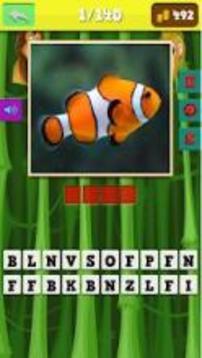 safari animals quiz游戲截圖4
