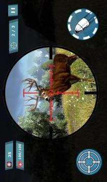 Sniper Hunting Deer游戲截圖1