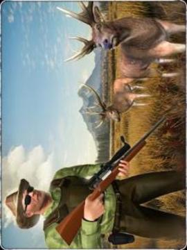 Real Sniper Hunter : Wild Jungle Animal Shooting游戲截圖5