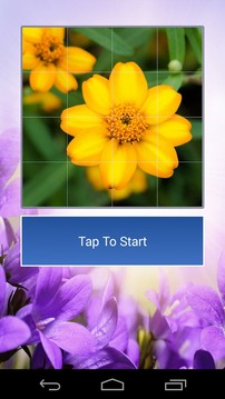 Flowers Lovers Puzzle游戲截圖2