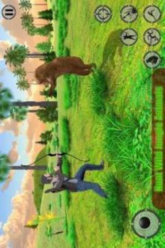 Archery Animal Hunting: Bow Arrow Hunter游戲截圖5