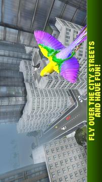 City Bird Parrot Simulator 3D游戲截圖5