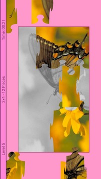 Butterfly Puzzle游戲截圖3