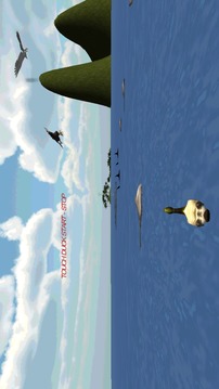 Duck Panic 3D游戲截圖3