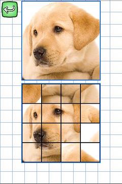 Puzzles in English: Animals游戲截圖3