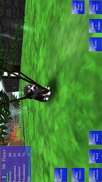 Cute Pocket Puppy 3D游戲截圖5