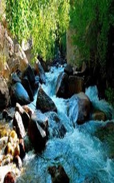 Nature Earth Puzzle游戲截圖3