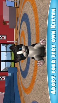 Daily Kitten : 虚拟宠物猫小猫动物游戏截图1
