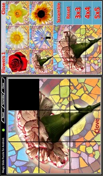 Magic Slide Puzzle Flowers1游戲截圖5