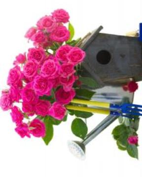 花園工具拼圖免費(fèi)游戲游戲截圖4