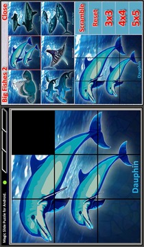 Magic Slide Puzzle B Fishes 2游戲截圖3
