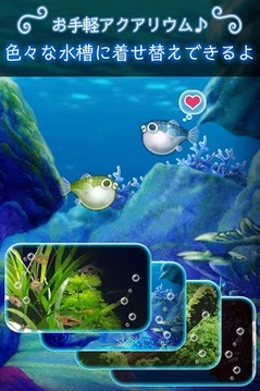 我的河豚魚水族館游戲截圖3