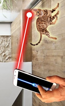 Laser for Cat Prank游戲截圖2