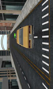 Liberty Cab Auto Sim Parker游戲截圖4