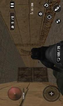 Counter Terrorist Strike - FPS Shooter游戲截圖3