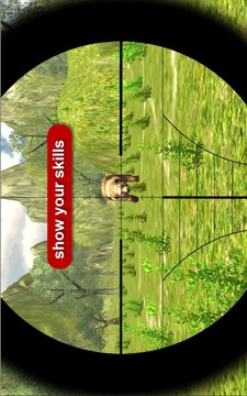Bear Hunter Expert游戲截圖2