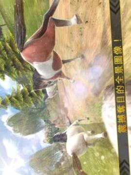 野馬 賽跑 草地 3D - 免費 馬 游戲游戲截圖5