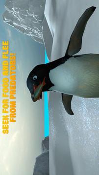 Arctic Penguin Simulator 3D游戏截图3