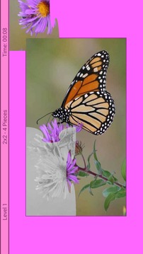 Butterfly Puzzle游戲截圖1
