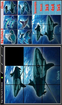 Magic Slide Puzzle B Fishes 2游戲截圖4
