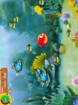 Big Fish Eat Small Fish - Hungry Fish游戲截圖3