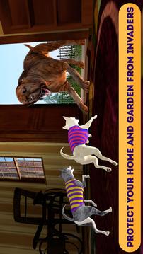 Chihuahua Simulator 3D游戏截图2