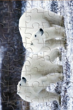 Jigsaw Animal Pic Free Edition游戲截圖4