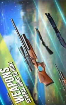 Forest Deer Sniper Hunting 2018游戲截圖3