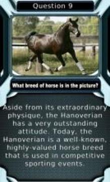 My Horse & Pony Breeds Quiz HD游戲截圖3