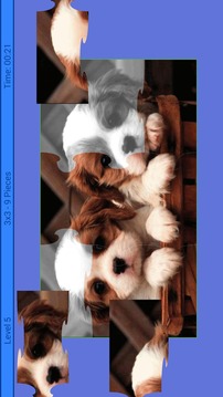 Puppies Puzzle游戲截圖1