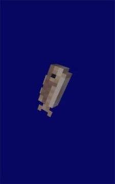 Aquatic MCPE游戲截圖3