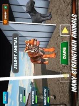 The Animal Racing游戲截圖2