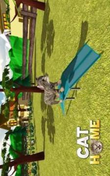 Cat Home : Kitten Daycare & Kitty Care Hotel游戲截圖3