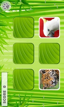 Animal Memory Games for Kids游戲截圖4
