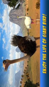 Ostrich Bird Simulator 3D游戲截圖4
