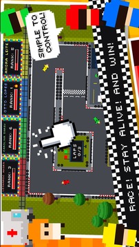 Race for your Life游戲截圖2