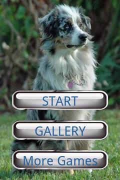 狗狗拼圖：澳大利亞牧羊犬游戲截圖1