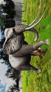 Wild Animals Hunting Archery游戲截圖4