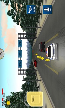 Police Car Chase游戲截圖4