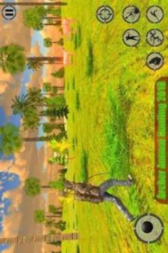 Archery Animal Hunting: Bow Arrow Hunter游戲截圖4